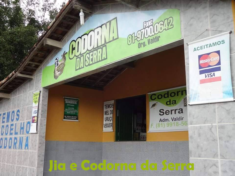 Jia e Codorna da Serra