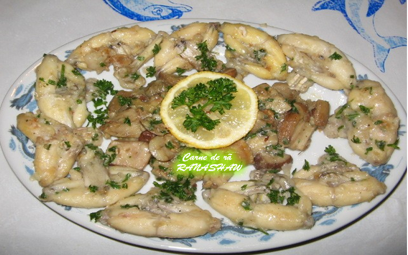 Carne de r&atilde; 